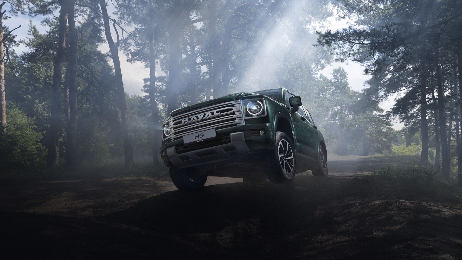 HAVAL H9